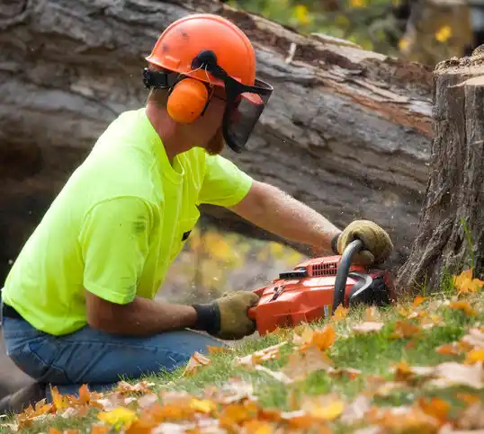 tree services Charenton